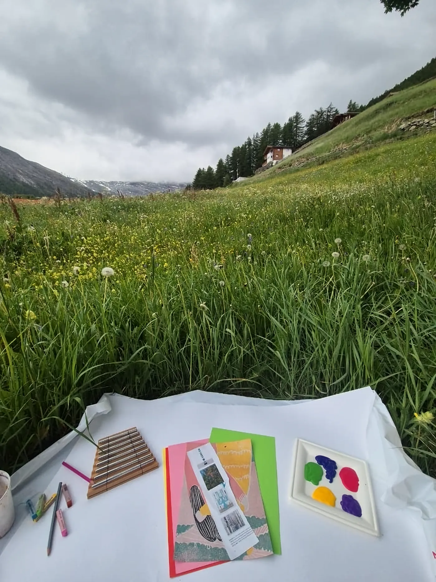 Art materials laid out on a cloth in a meadow