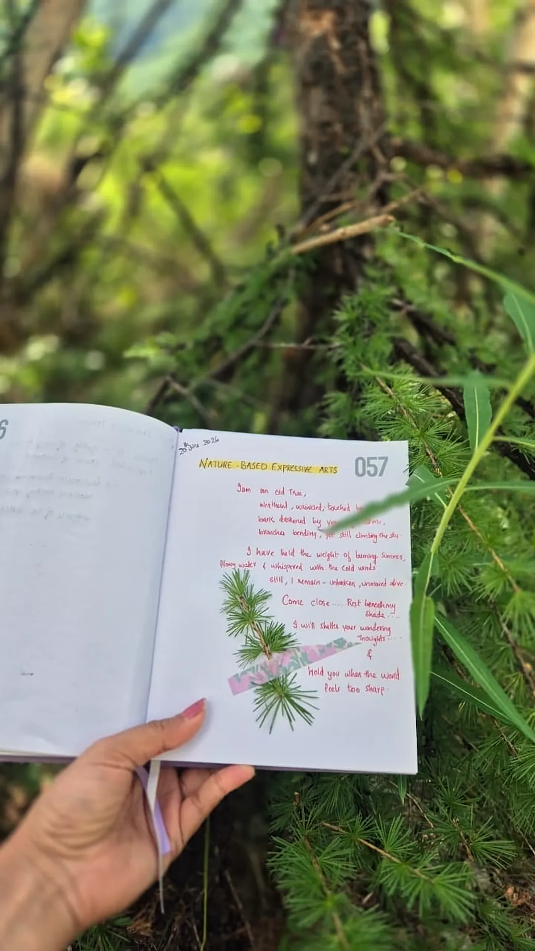 A hand holding an open nature journal in the forest